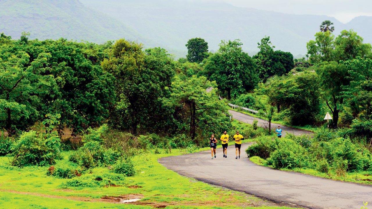 This weekend, head to the Sahyadris for a refreshing marathon
