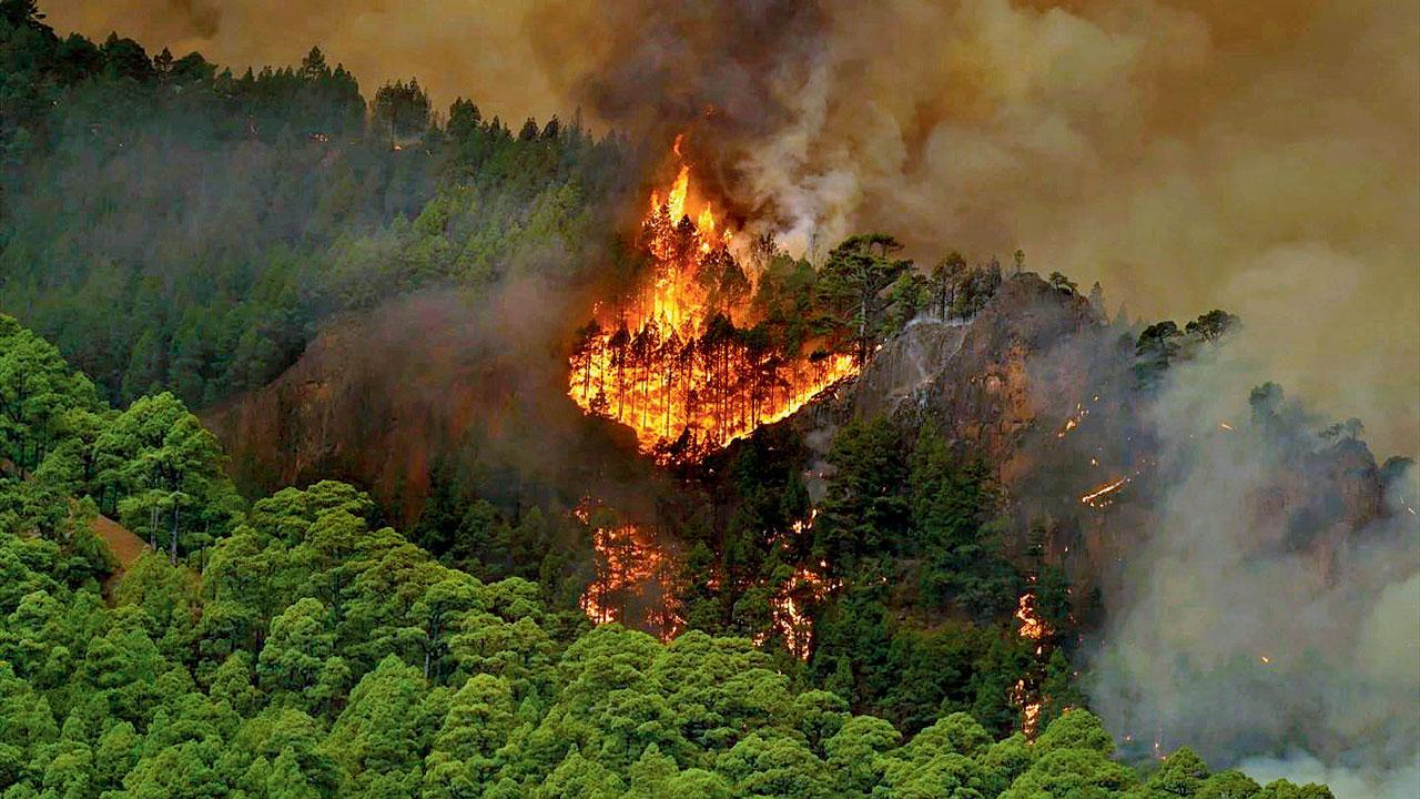 Firefighters battle blaze in Spain’s tourist island