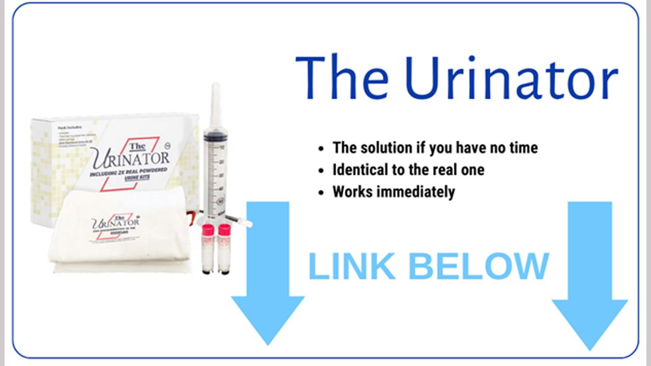 Synthetic Urine Actual Guide How To Pass a Urine Drug Test image