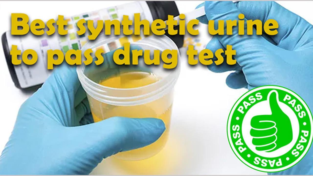 Synthetic Urine: Actual Guide How To Pass a Urine Drug Test