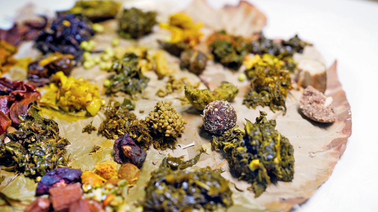 A wild food thali with over 40 wild vegetable preparations