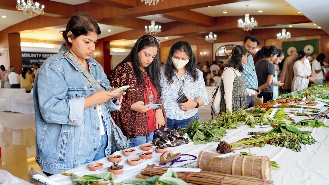 Participants explore an array of indigenous food at a session