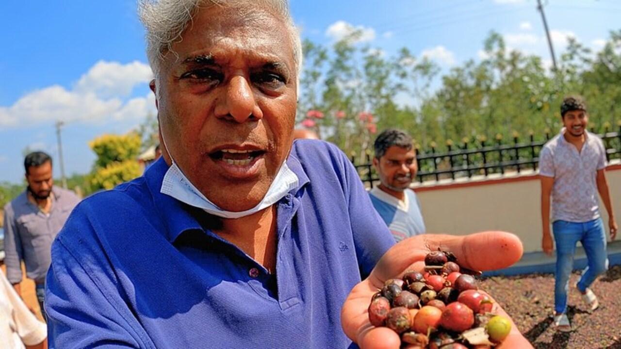 Ashish Vidyarthi
Ashish Vidyarthi is known to share his travel experiences on Instagram. The actor is a major foodie and him trying out various regional delicacies often feature on his social media handles. He shared what it felt like to be on a coffee bean plantation!
