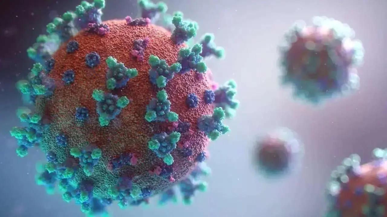 WHO classifies 'Eris' Covid strain as 'variant of interest'