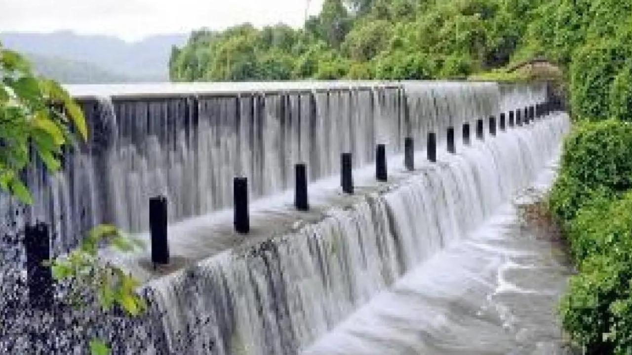 As per the data shared by the civic body, the water level in Tansa is at 98.49 per cent. At Modak-Sagar, 95.73 per cent of water stock is available
