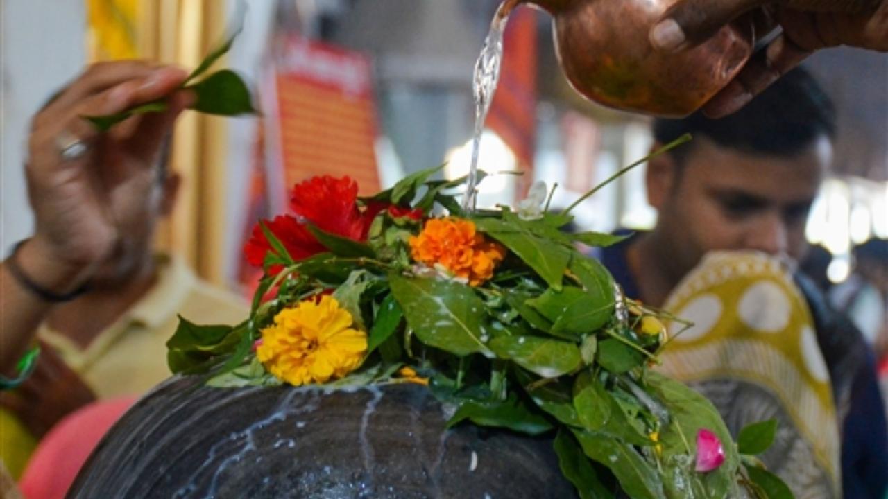 The festival of Nag Panchami, which is being celebrated today, is an annual occasion where Hindus worship snakes. Its origins date back to the earliest days of the religion