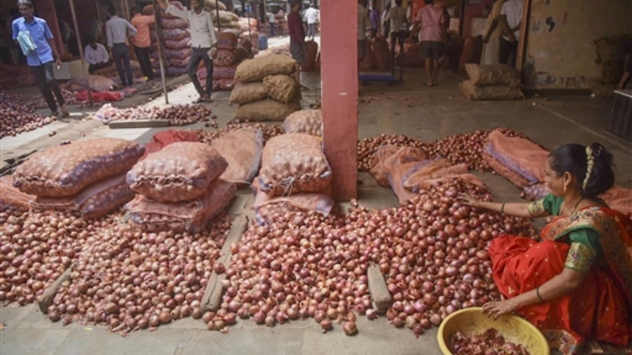 40 pc export duty on onions: Govt's policy neither beneficial to farmers nor consumers, claims Sena (UBT)