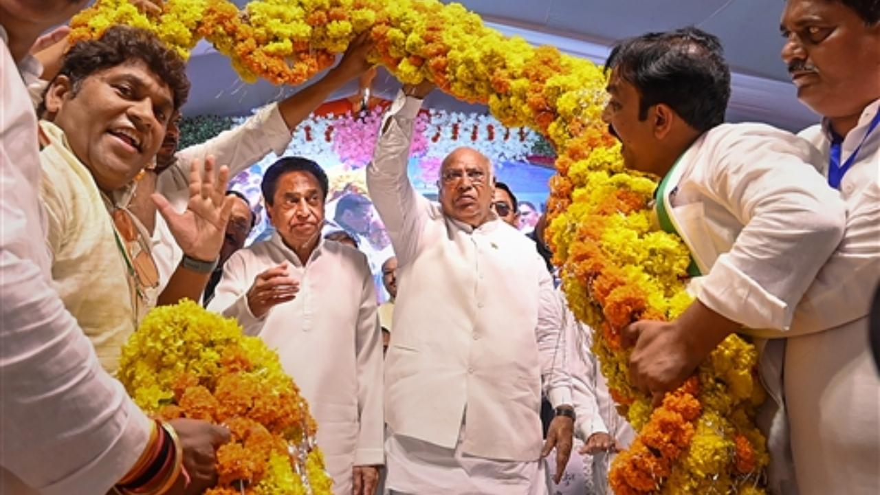 As per the 2011 Census, the population of Dalits in MP was 1.13 crore