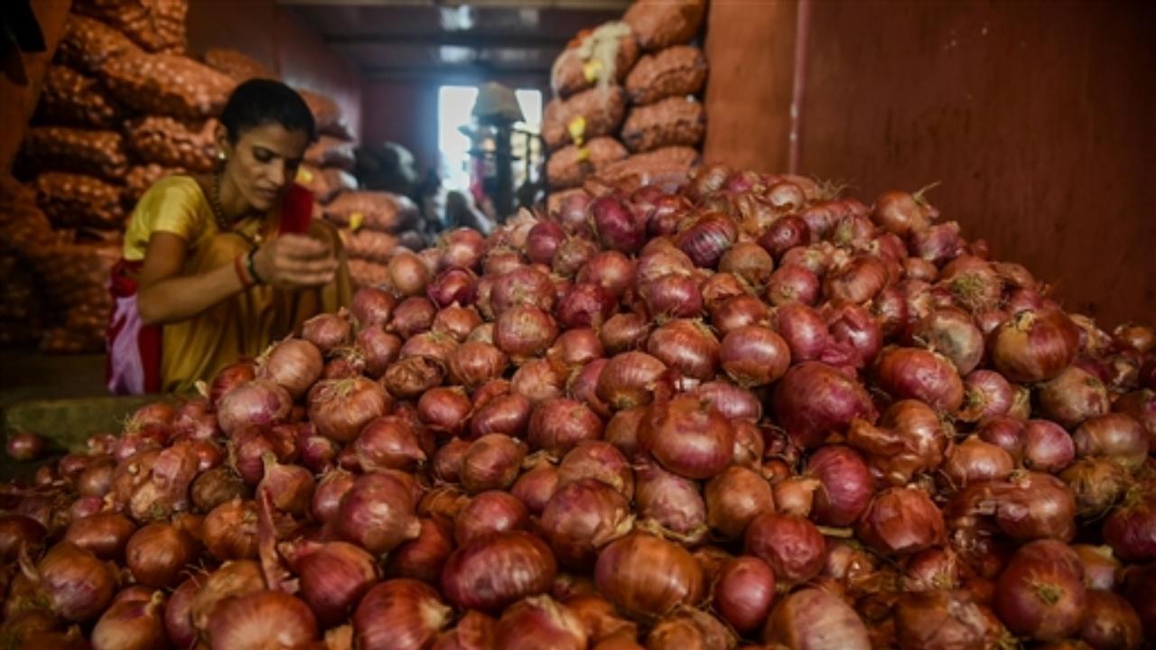 Onion auctions to resume at APMCs in Nashik from August 24: Traders' representative