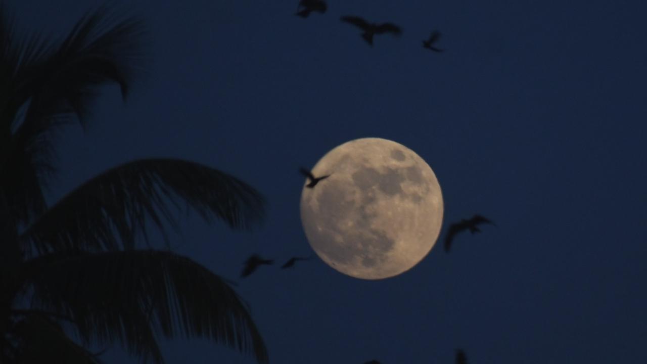 The next super blue moons will occur in a pair, in January and March 2037 (Pic/Ashish Raje)