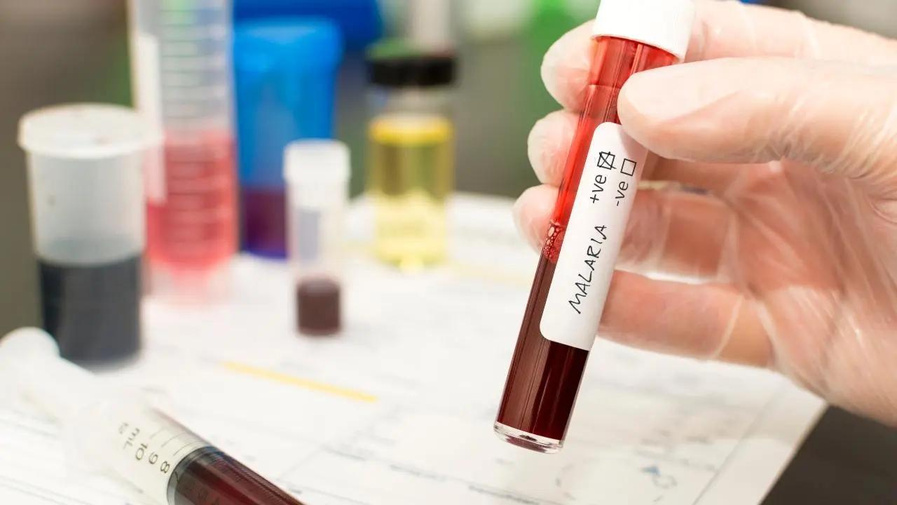 Mumbai reports 226 malaria cases in one week