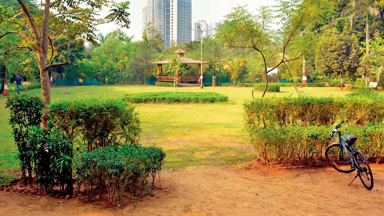 File photo of a Miyawaki garden in Mulund