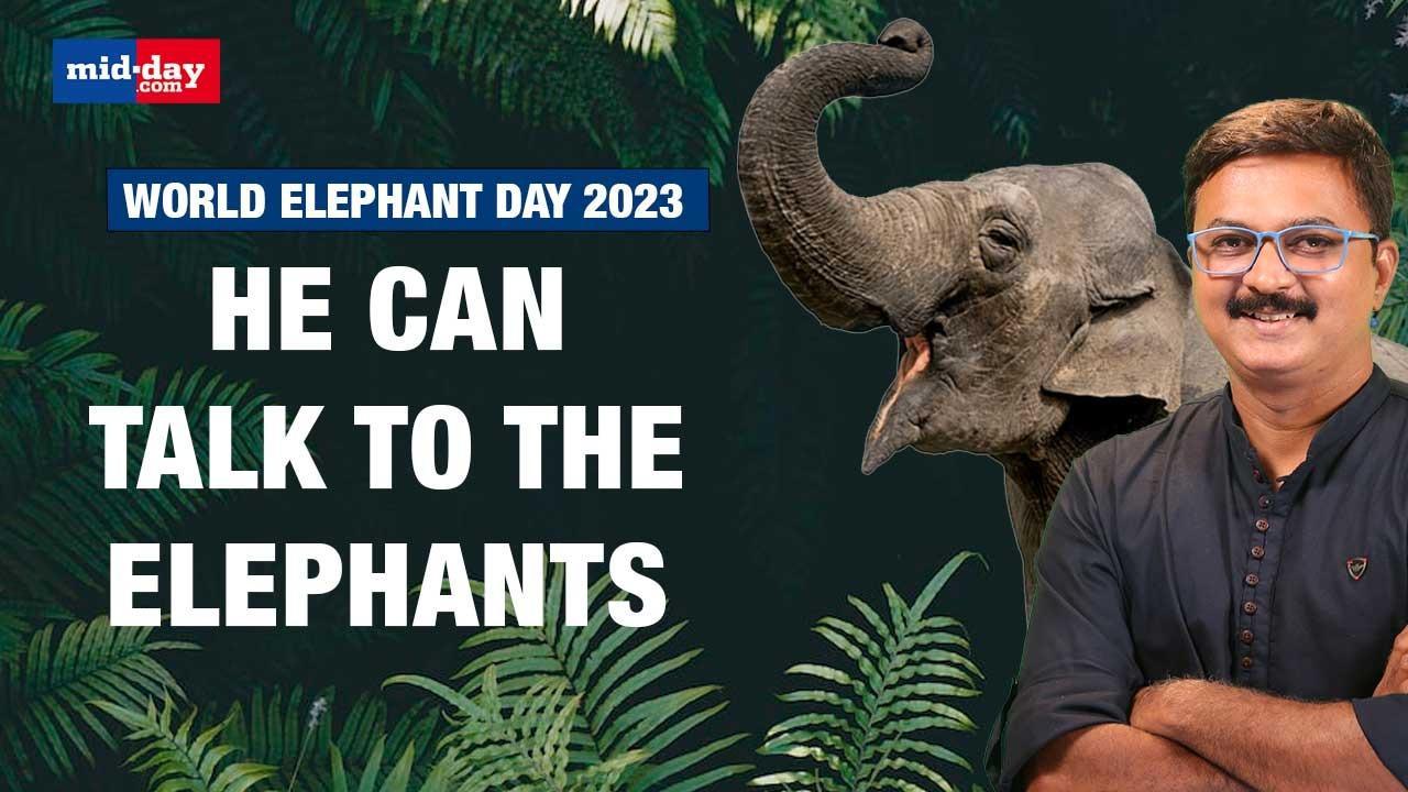 World Elephant Day 2023: This Mumbai man talks to the Elephants