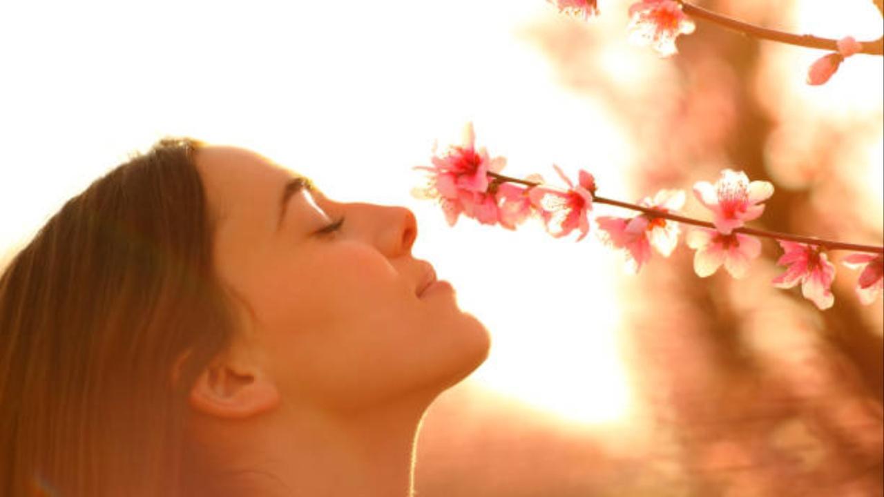 How does fragrance impact our mood and emotions