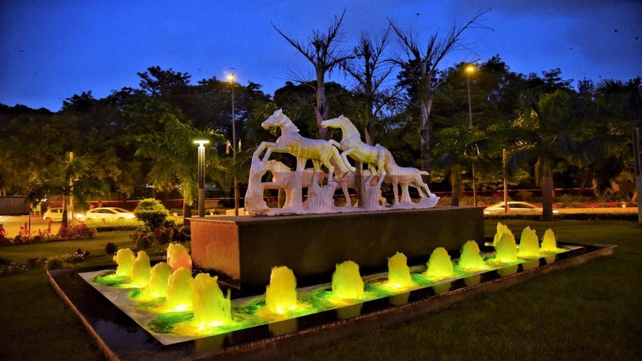Nearly 6.75 lakh pots of flowering plants and foliage will adorn designated roads and venues in Delhi for the G20 Summit next month. Photos/ANI/PTI