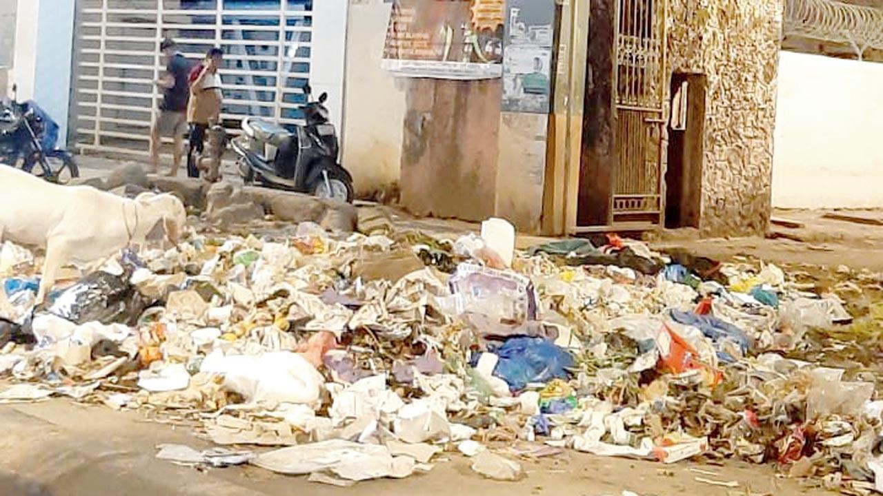 Mumbai: Clean-up marshals will rein in dumpers next month, says BMC