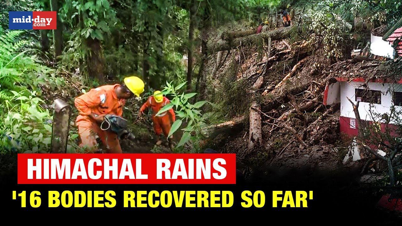 Himachal Rains: '16 bodies recovered so far', NDRF personnel gives information 