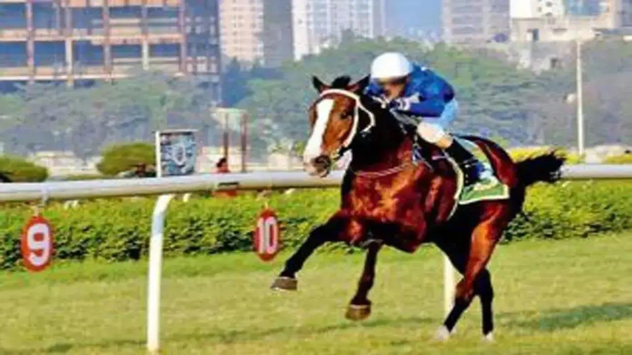 Time And Tide fancied for FD Wadia Trophy