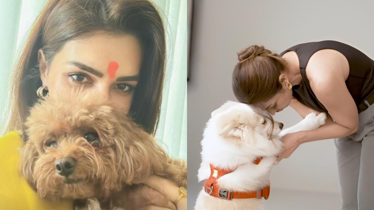 Malaika Arora to Kriti Sanon, here's how Bollywood stars celebrated International Dog day 2023
