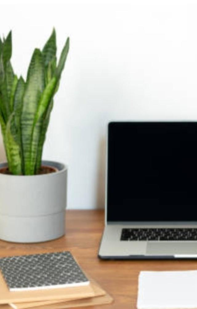 5 essential items to add to your desk