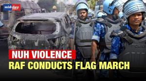 Nuh Violence: RAF conducts flag march in Gurugram