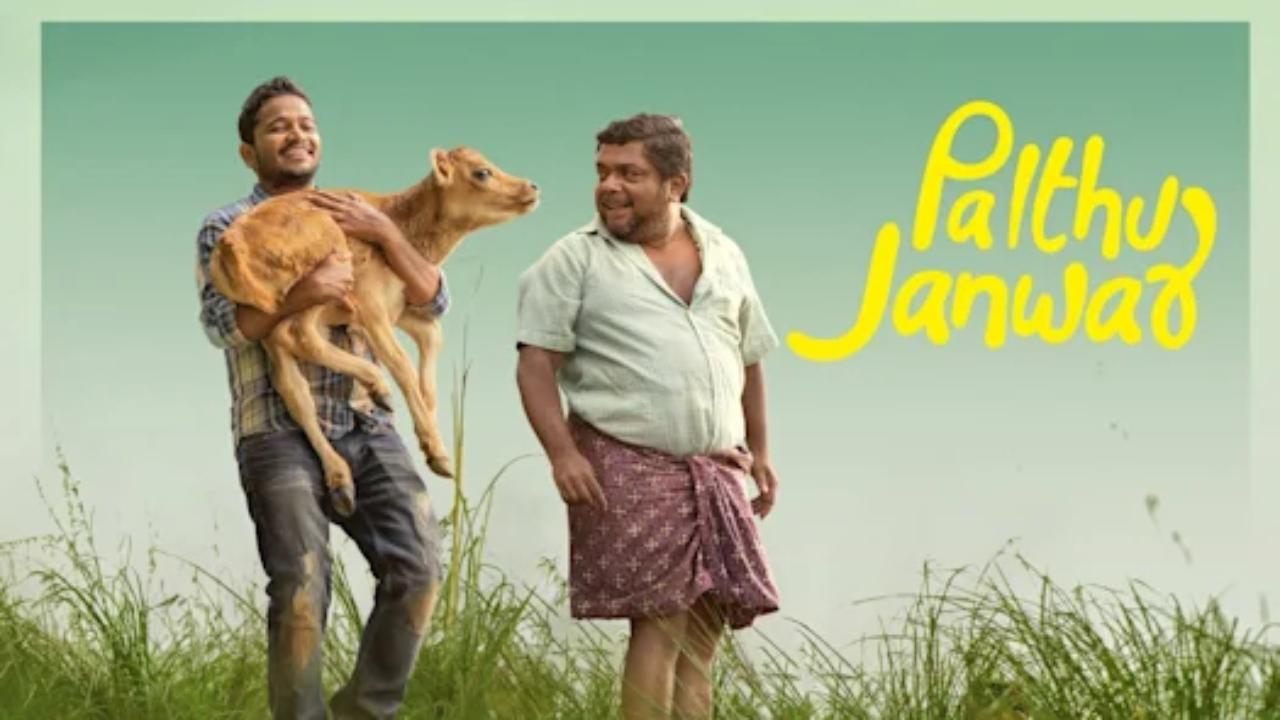 Palthu Janwar released theatrically on September 2, 2022. The Malayalam film starred Basil Joseph, Indrans, Dileesh Pothan and Johny Antony