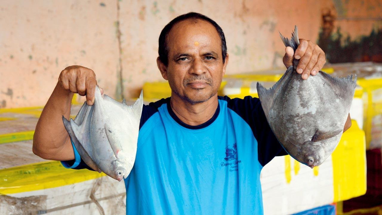 Experts dissect factors responsible for the decline in Palghar's pomfret  catch