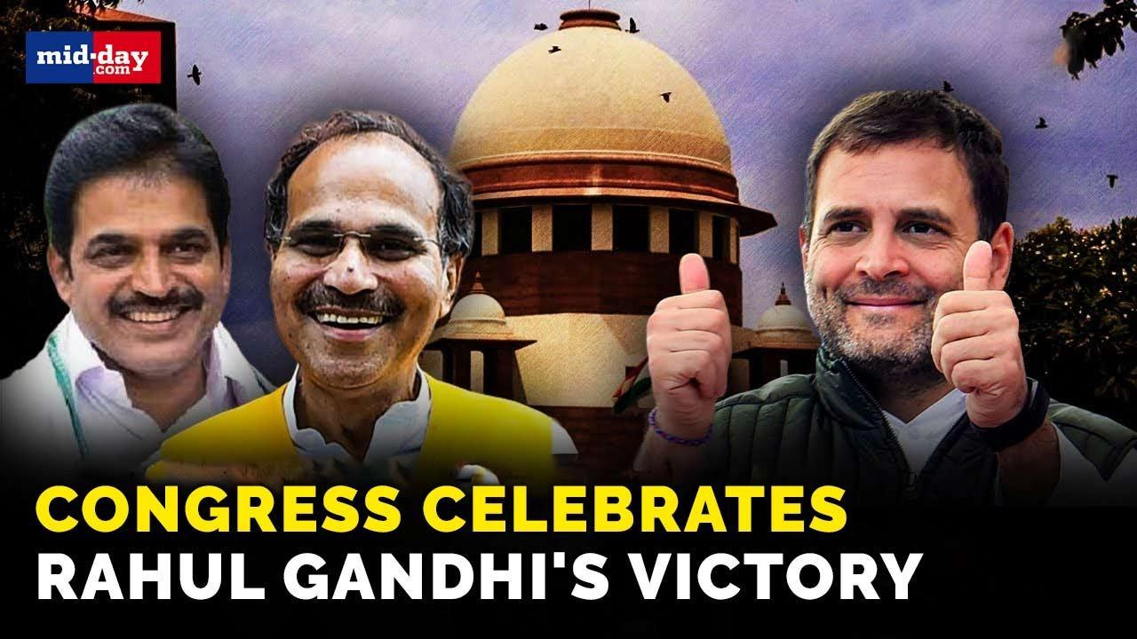 SC puts stay on Rahul Gandhi's disqualification; Congress welcomes the verdict