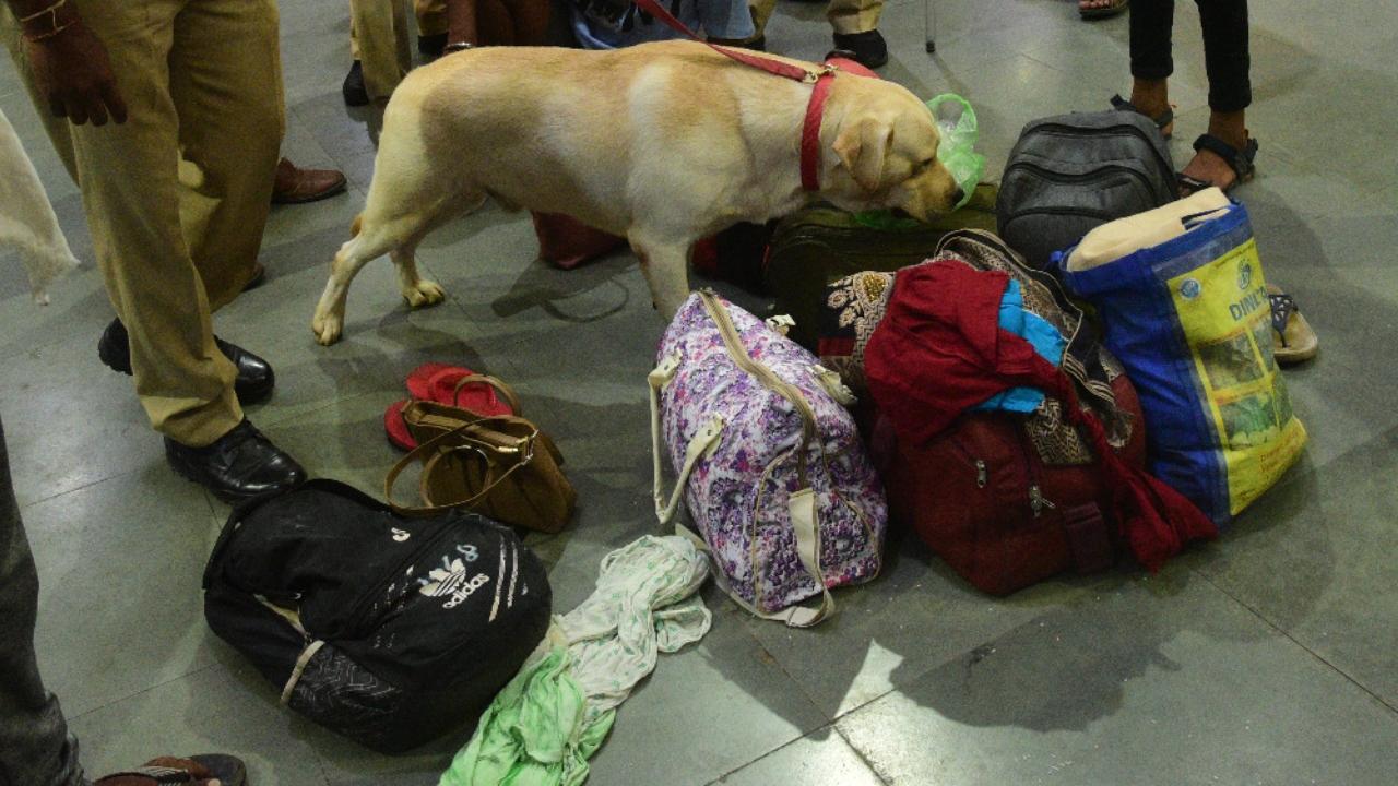 People generally flock to tourist spots and railway stations in Mumbai on Independence Day