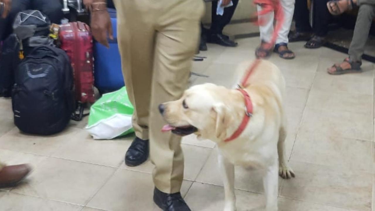 The railway police officials on Friday were conducting a special drive and checking passengers luggage ahead of Independence Day and the festive season
