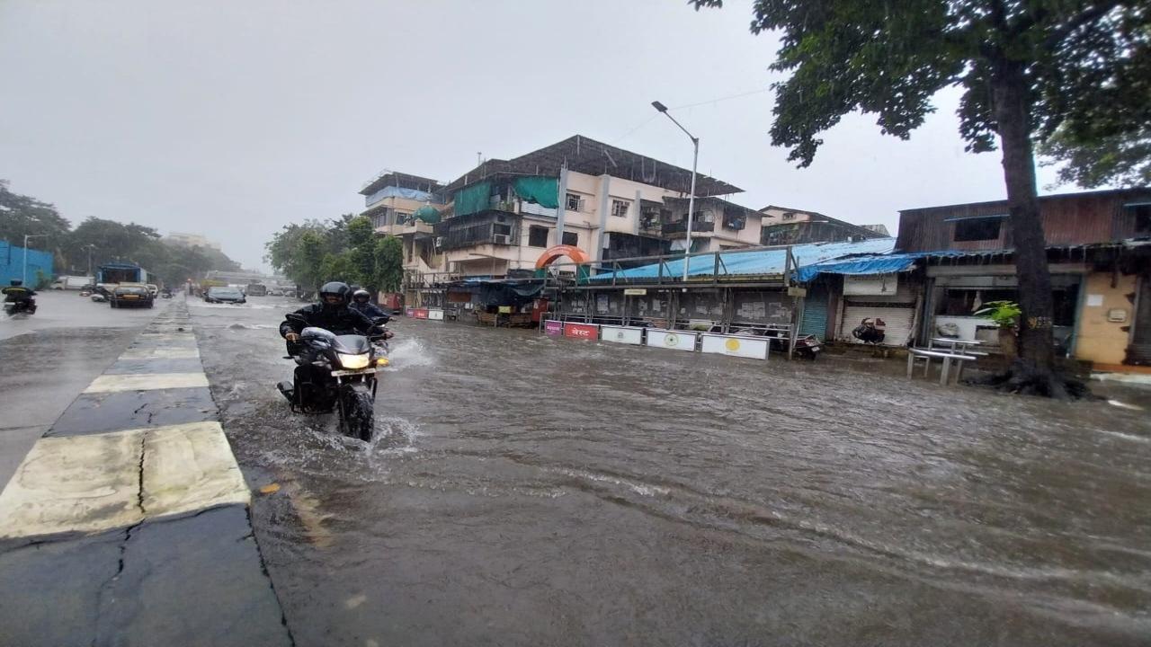 The island city, eastern and western suburbs received an average rainfall of 1.39 mm, 2.68 mm and 2.93 mm respectively in 24 hours ending at 8 am, the civic body's data showed.
Meanwhile, heavy rainfall was experienced in several parts of Odisha on Wednesday. Locals were seen catching fish at the inundated National Highway 57 in the Boudh area after ponds of the fisheries department got flooded following heavy and continuous rainfall.