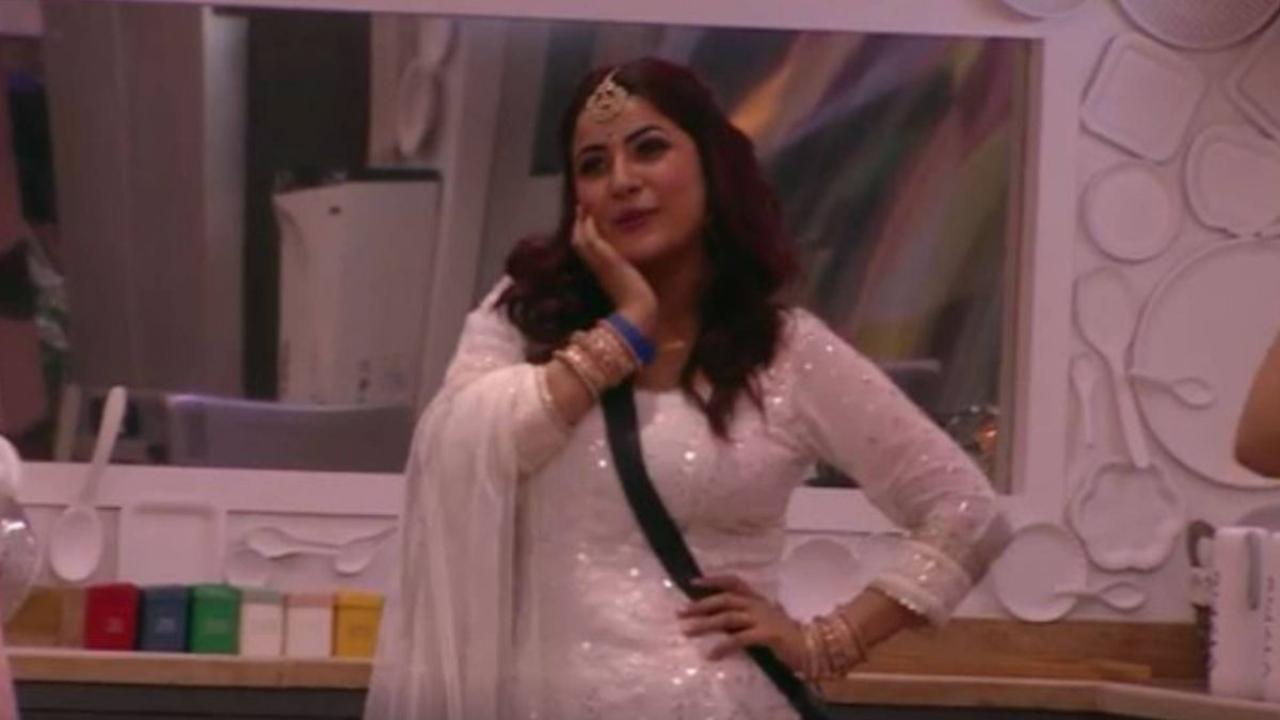 Shehnaaz Gill became the nation's darling with Bigg Boss 13. She displayed her child-like emotions, innocence and won the hearts of the audience. Shehnaaz or Sana ended her journey as the 2nd runner-up