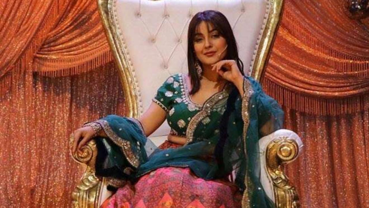 After Bigg Boss 13 ended, Shehnaaz Gill participated in yet another reality show. Titled Mujhse Shaadi Karoge, she had to find a perfect life partner for herself. However, Shehnaaz exited the show without finding the right suitor
