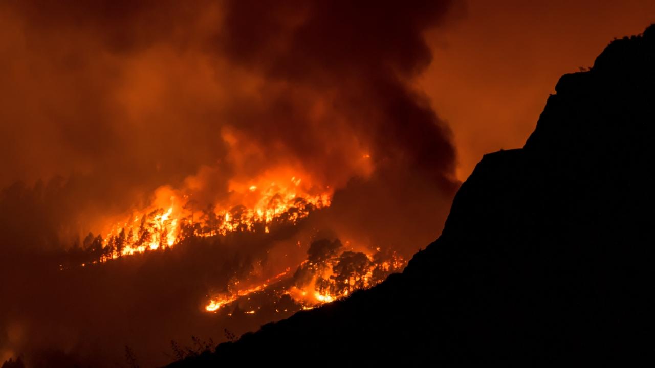 The fire, which broke out on Tuesday night, was raging through a forested area with steep ravines in the northeastern part of the island, part of the Canary Islands archipelago off northwestern Africa