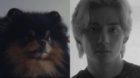 V of BTS and Yeontan give artistic touch in the cozy 'Rainy Days