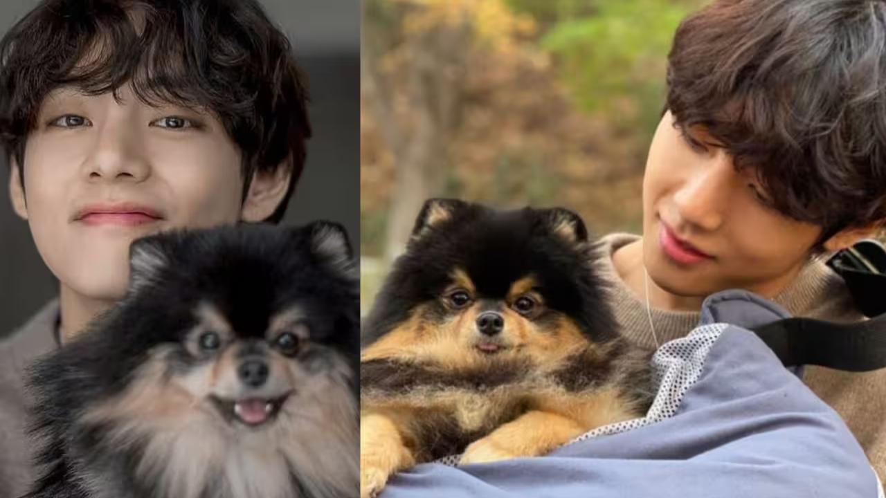 Who is Yeontan's real 'boss'? Kim Taehyung reveals it isn't any of the BTS members