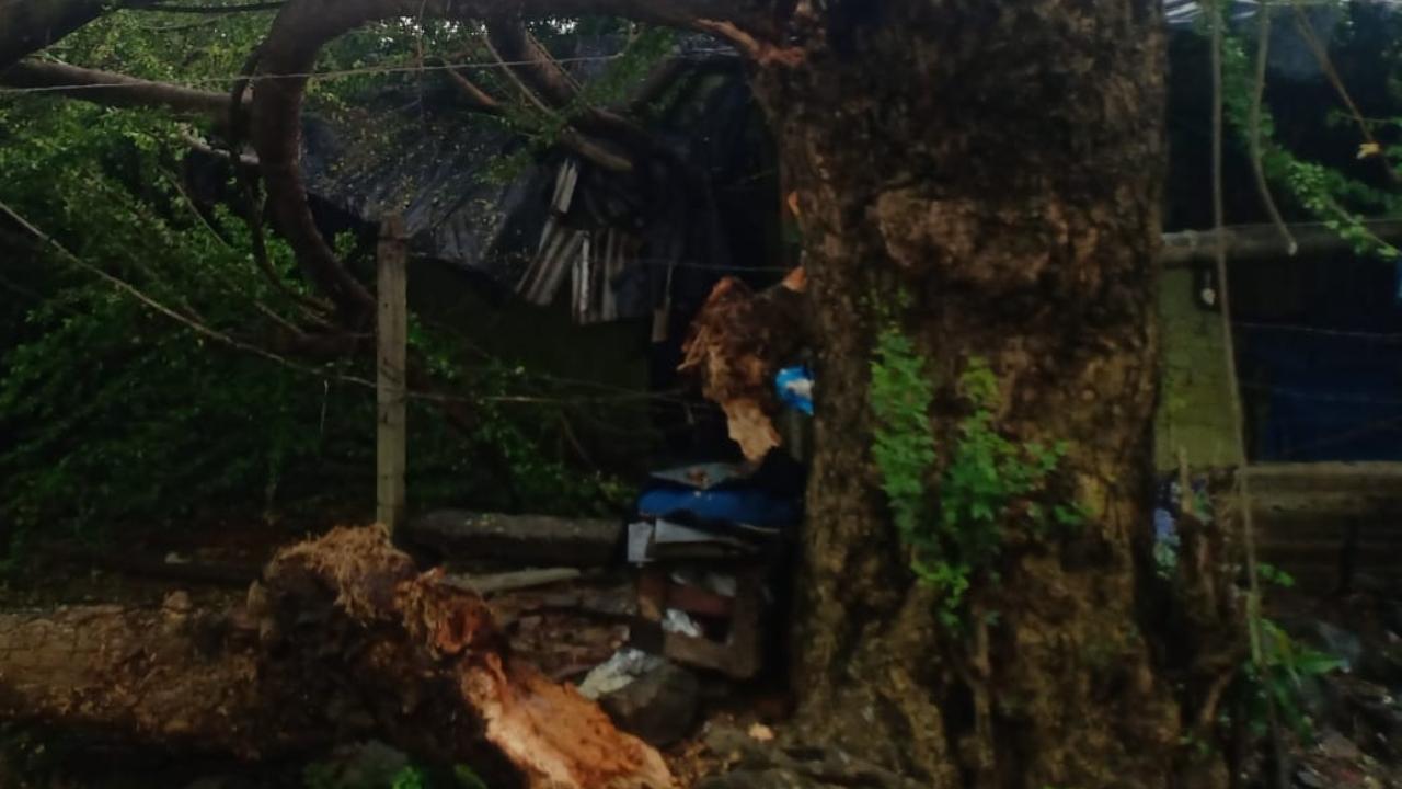 The incident took place in a chawl along the railway tracks at 3pm, Thane Municipal Corporation regional disaster management cell chief Yasin Tadvi said