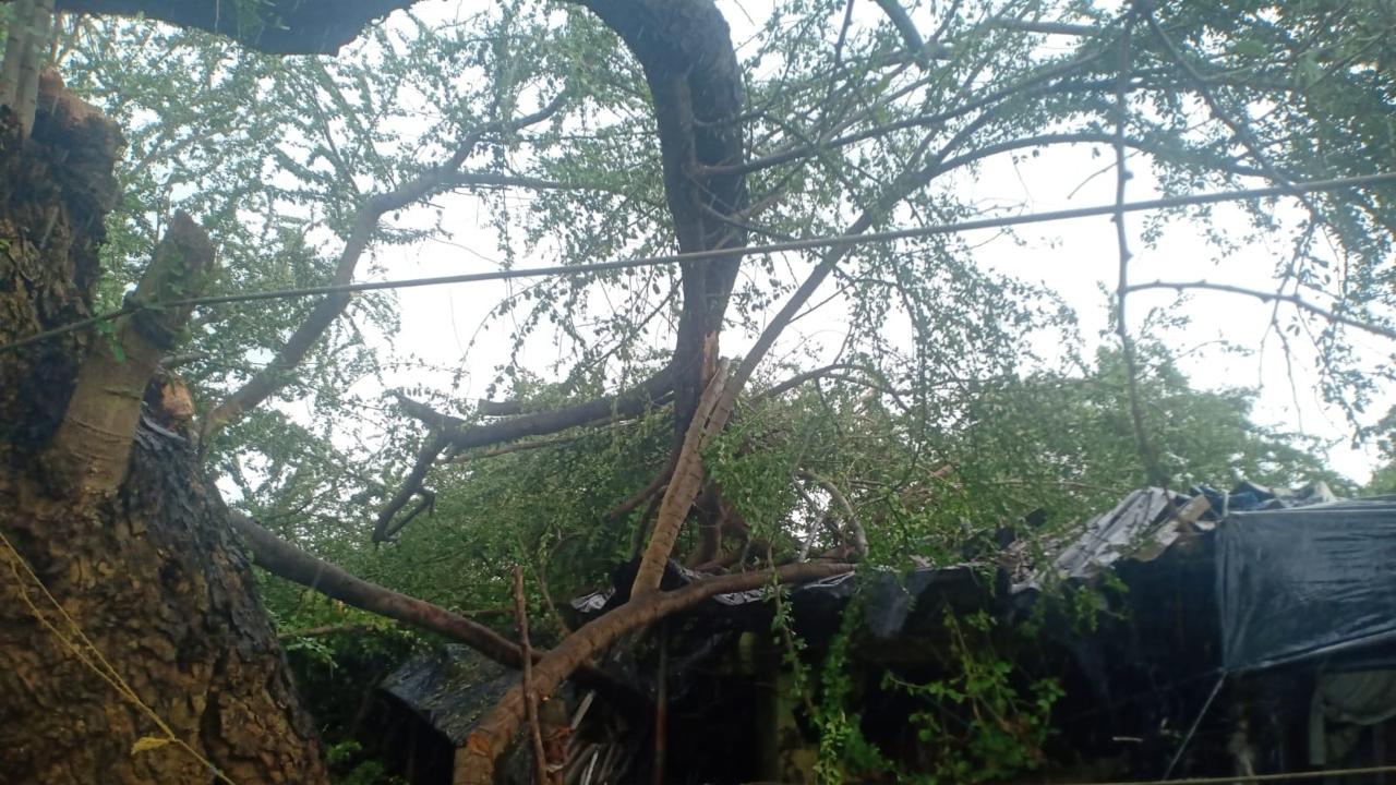 In the incident, two individuals sustained minor injuries and were identified as Durvesh Bhoir (20) and Manjusha Kevad (26). Durvesh Bhoir suffered injuries on his hand, leg, and stomach, while Manjusha Kevad sustained injuries to her head, left leg, and hand. Both injured persons were immediately taken to Chhatrapati Shivaji Maharaj Hospital in Kalwa, the officials said