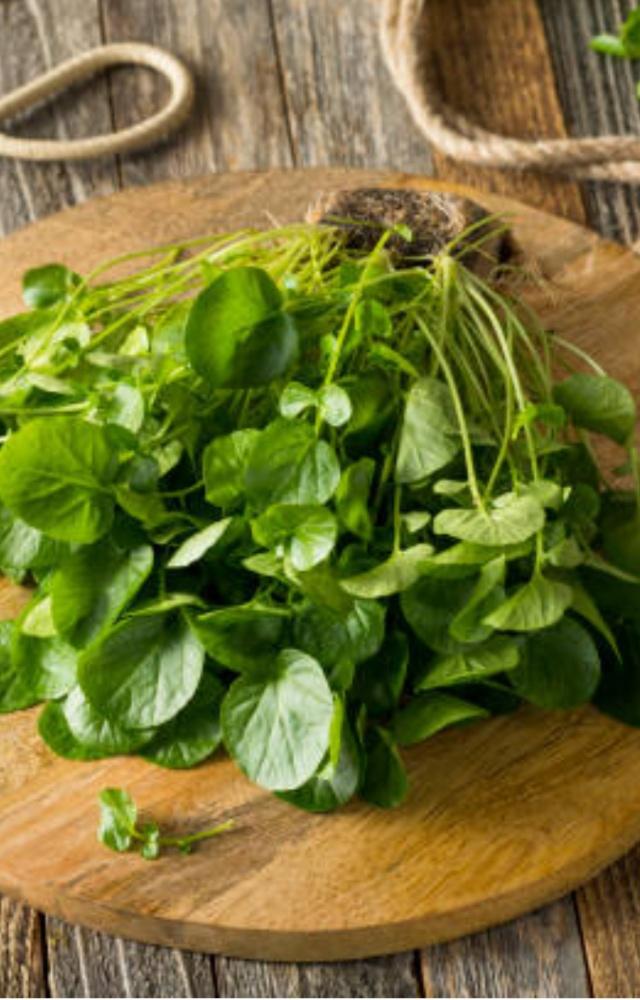 Jalkumbhi, as watercress is locally called in Hindi, is best consumed in winters, as that’s when the best produce arrives in the market