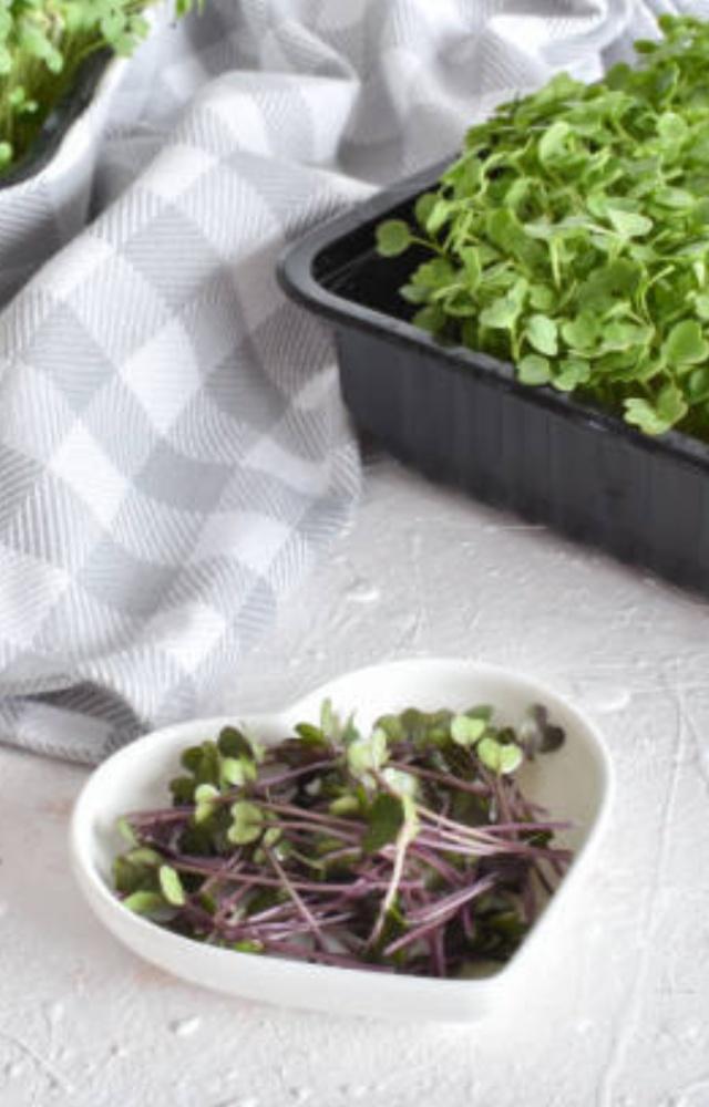 Recently, the Centers for Disease Control and Prevention in the United States, announced that watercress is the healthiest vegetable on Earth