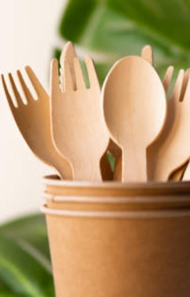 Switch to using cutlery made from bamboo or wood instead of using plastic ones. Besides this, you can also switch to using paper plates and cups
