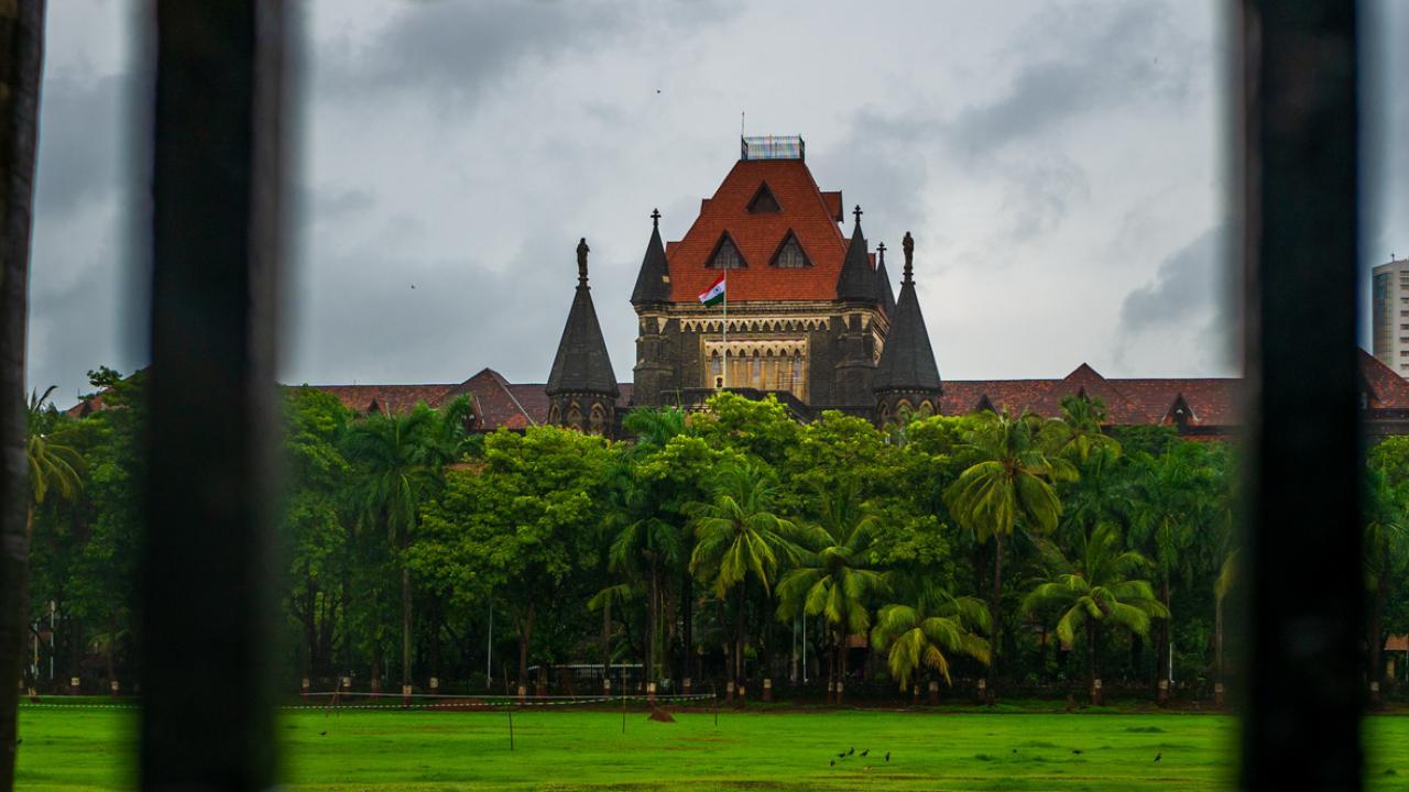 Bombay High Court denies custody to father facing allegations of violent conduct