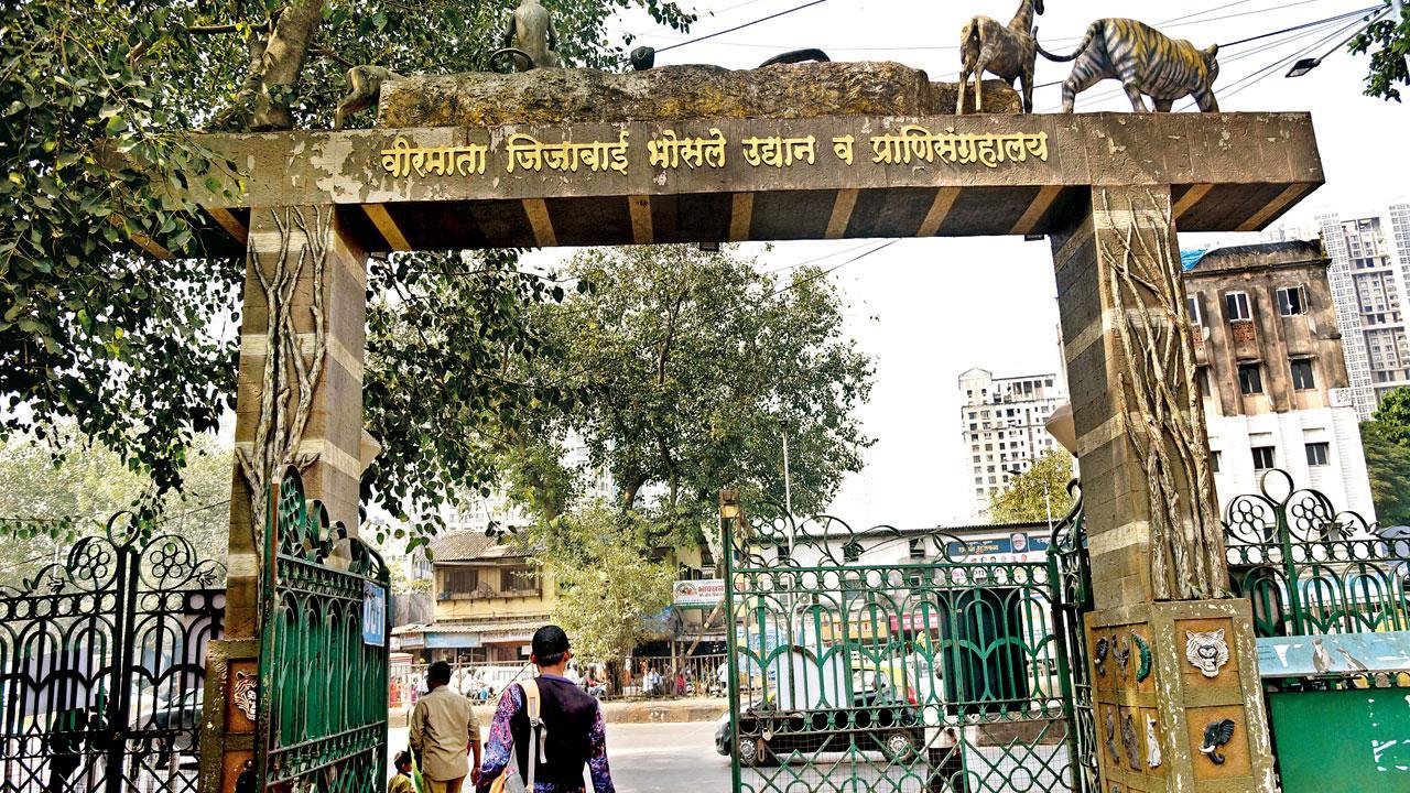 Byculla Zoo’s plastic ban: Trouble looms for unprepared visitors!