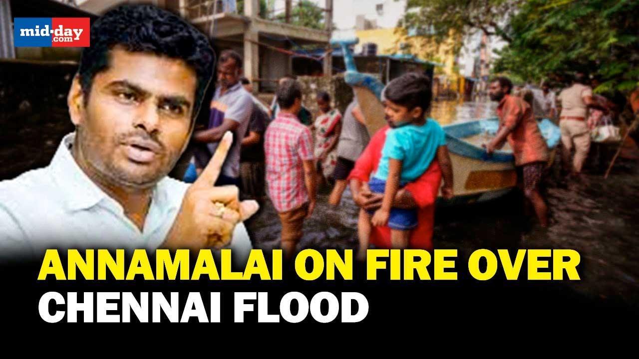 Chennai flood 2023: K Annamalai slams MK Stalin led Tamil Nadu government