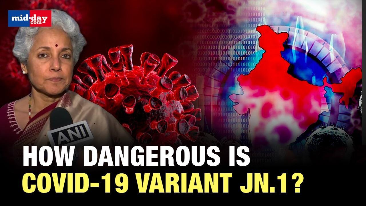 How dangerous is COVID-19 variant JN.1? Former WHO scientists explain
