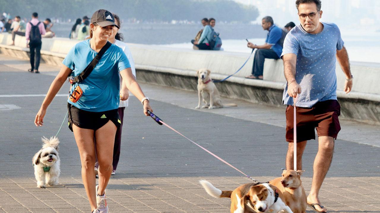 Mumbai Diary: Friday Dossier