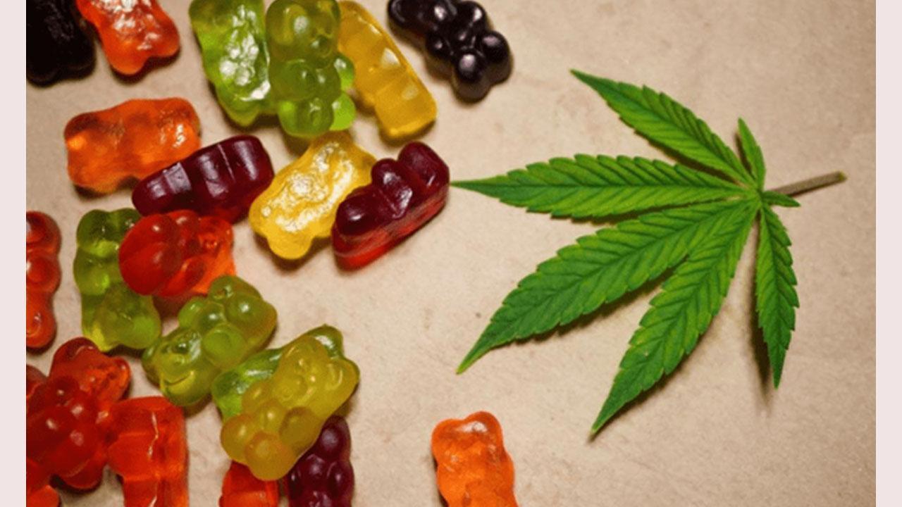 Pure Harmony CBD Gummies Reviews – How Does Pure Harmony Leaf CBD Gummies Work ?