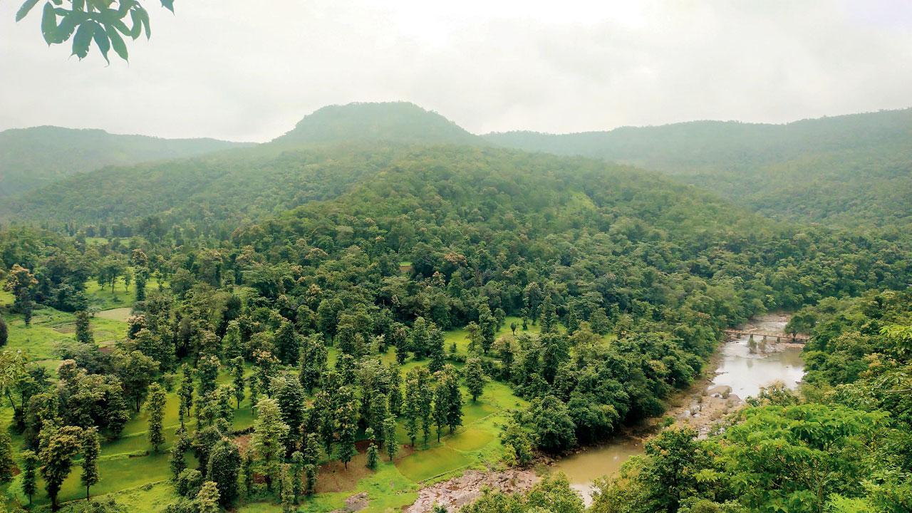 Mumbai: Forest dept awaits details from BMC in order to process Gargai dam plan