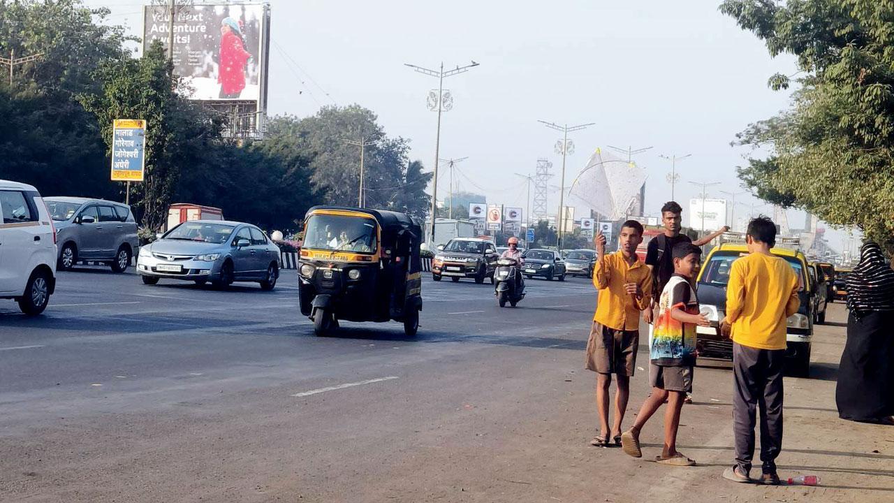 Mumbai: Cops begin crackdown on kite flying
