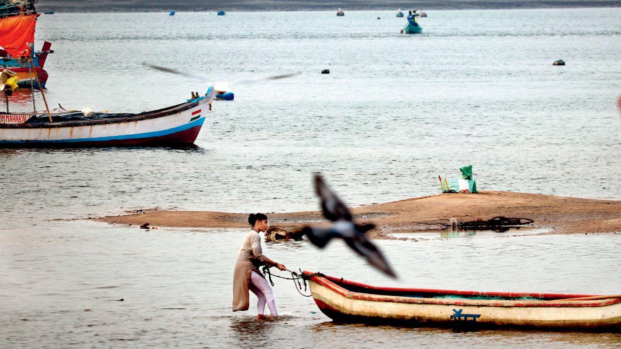 Mumbai Diary: Sunday Dossier